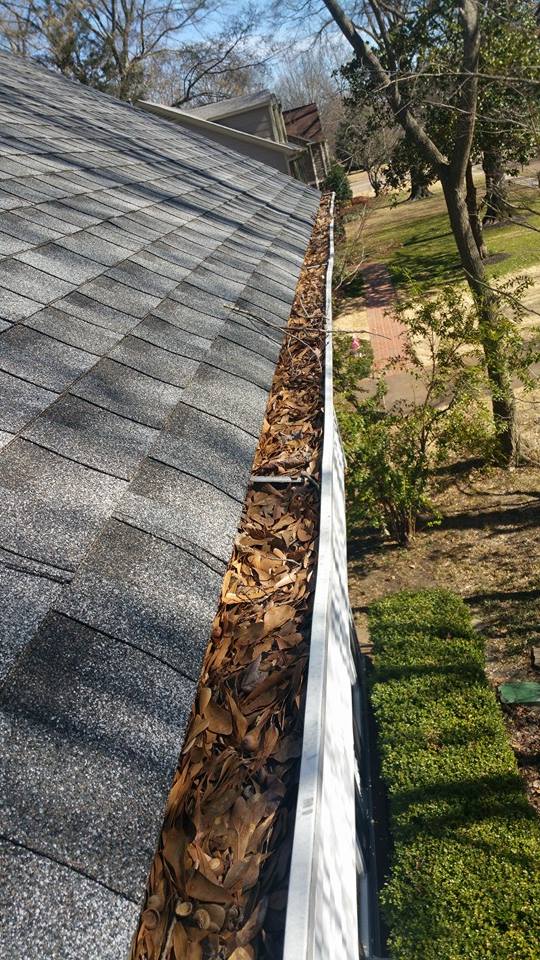 Gutters clogged with leaves and debris before cleaning