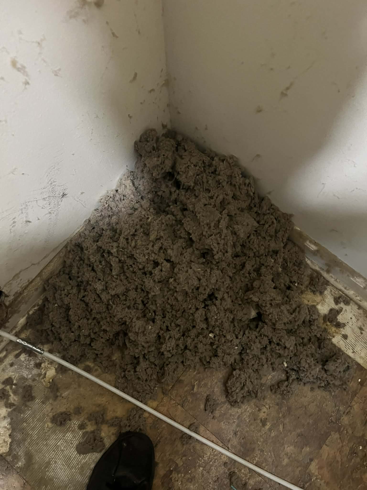 Large pile of lint removed from a clogged dryer vent in a Memphis home